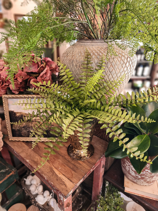 Rea 16" Boston Fern