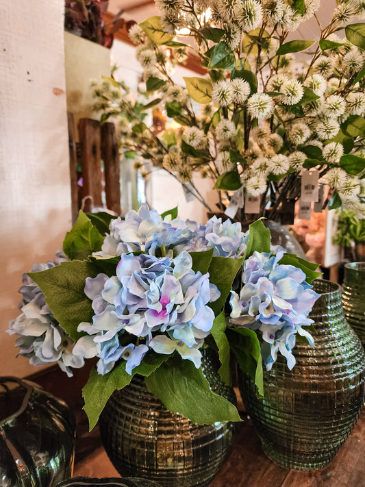 Seaside Cottage Hydrangea Bundle