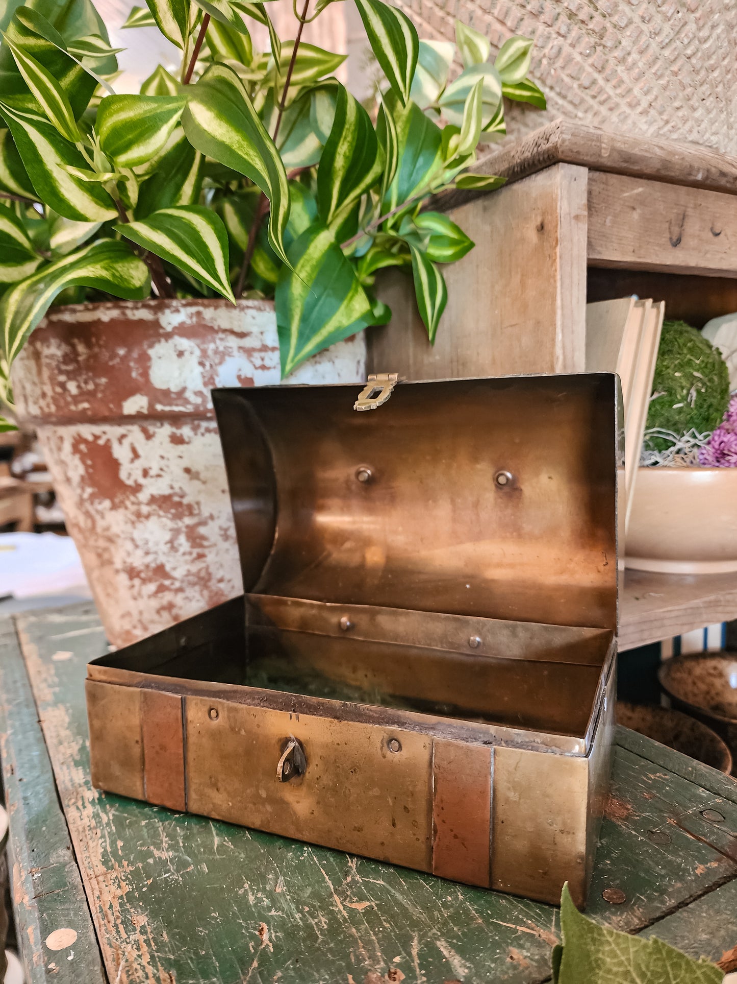 Brass + Copper Trunk with Latch