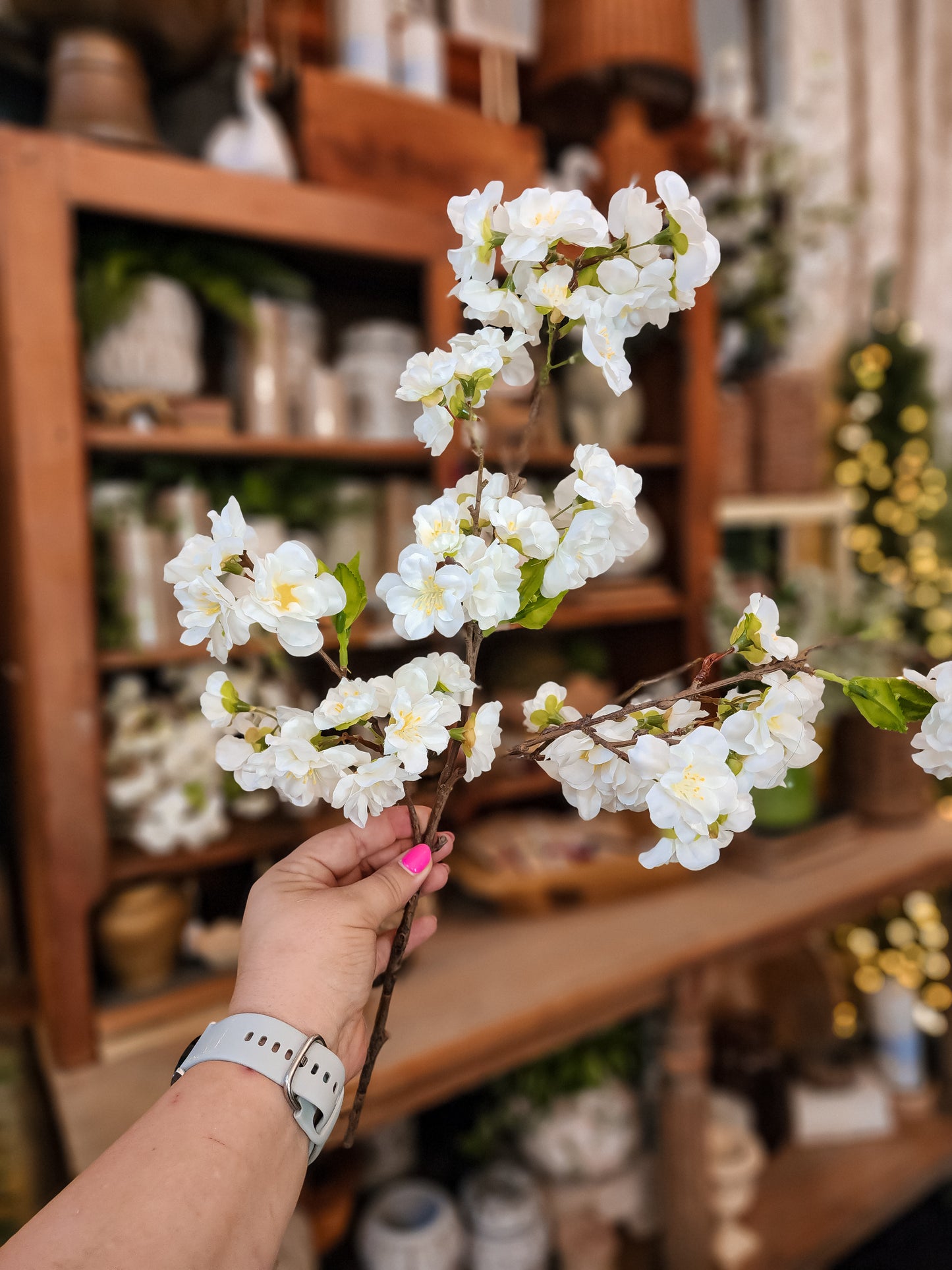 White Cherry Blossom