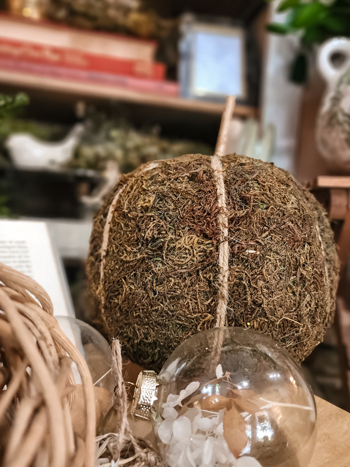 Moss Pumpkin