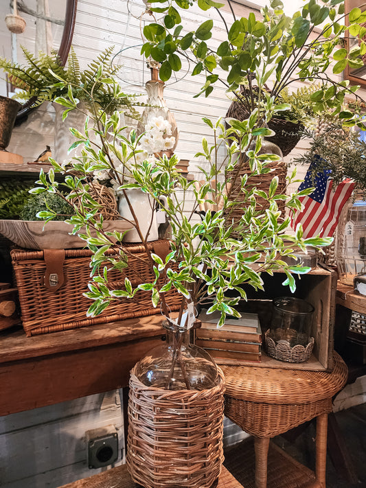 35" Green & White Mirror Bush Branch