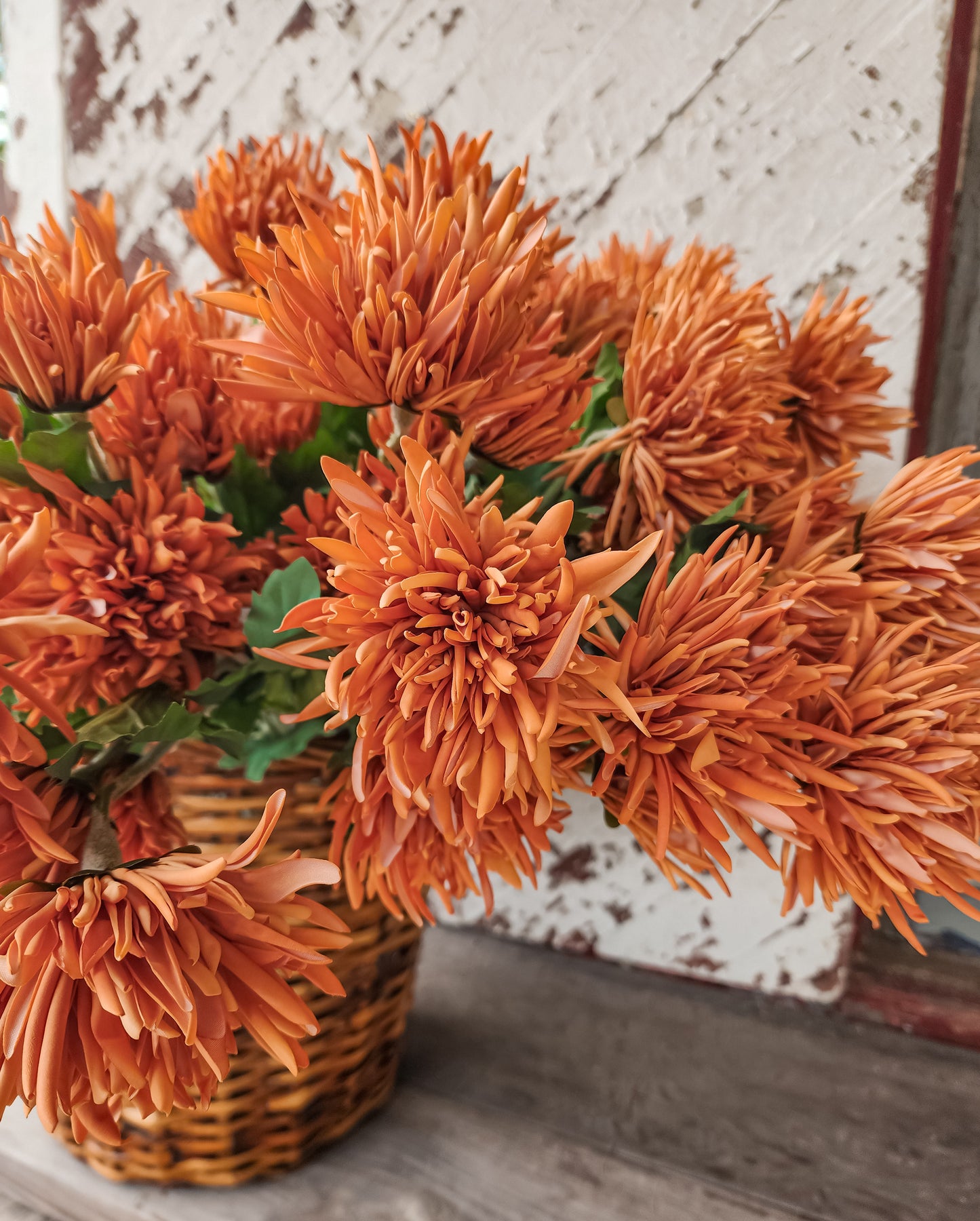 Fall Chrysanthemum Stem