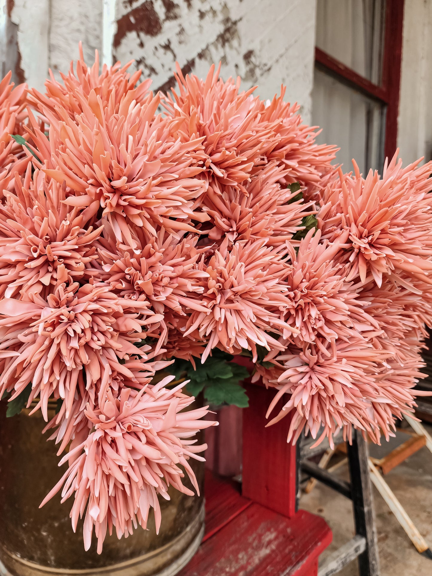 Fall Chrysanthemum Stem