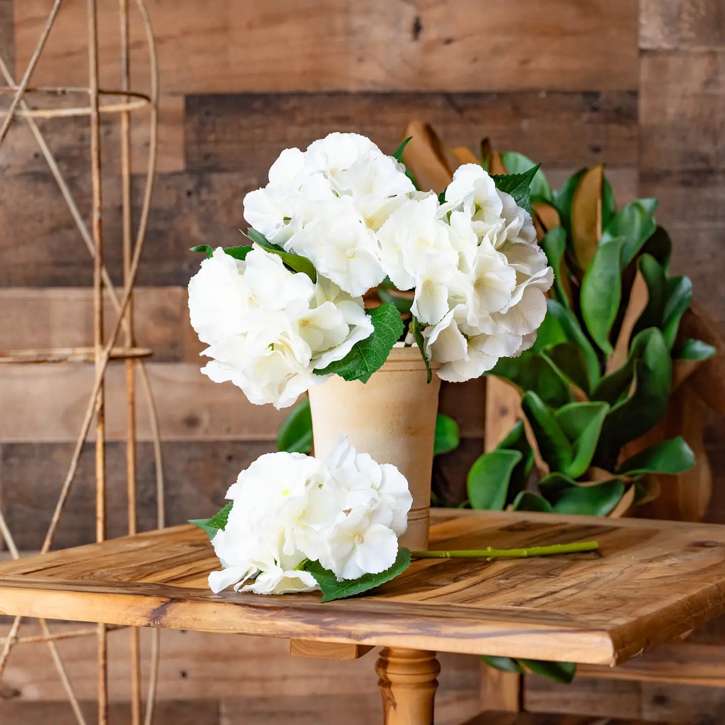 Juliette Fresh Touch Hydrangea Bloom