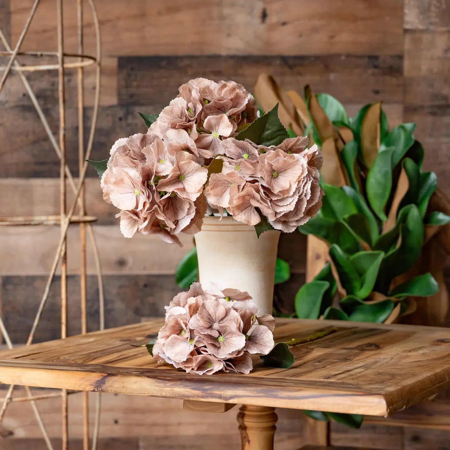 Juliette Fresh Touch Hydrangea Bloom