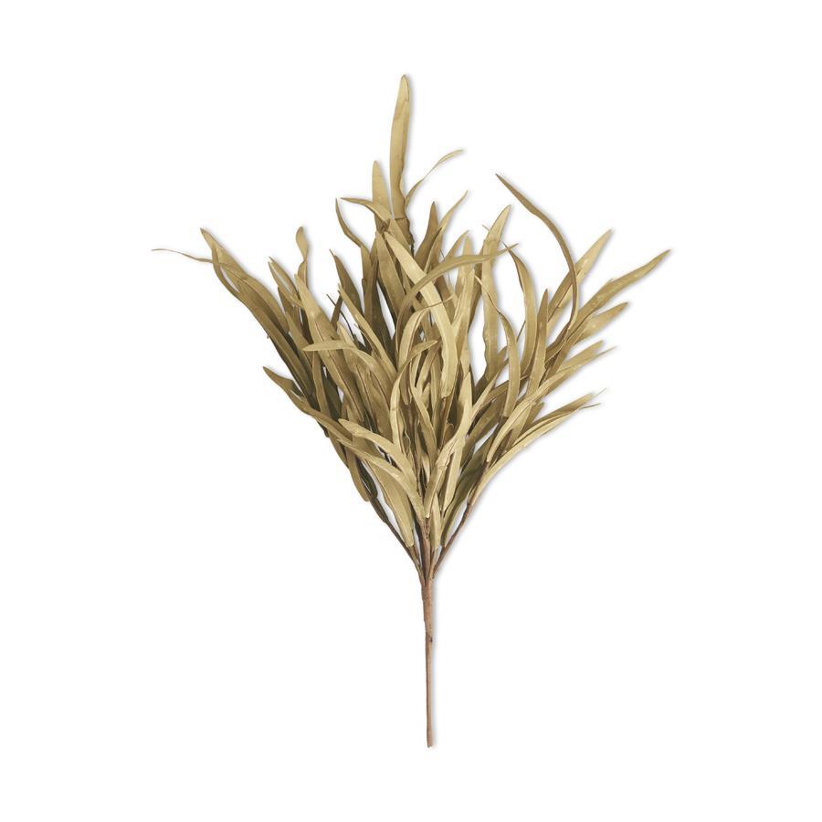 Wild Eva Grass (Green)