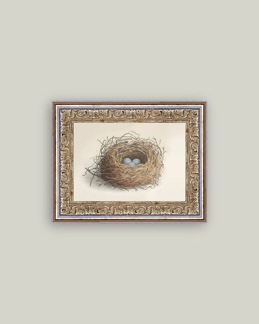 Blue Eggs in a Nest Framed Antique Art: 7x5
