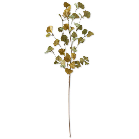 Green & Yellow Ginkgo Leaf Stem