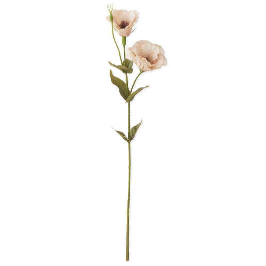 Cream Real Touch Bellflower