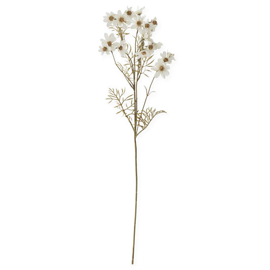 30 Inch Cream Cosmo Stem