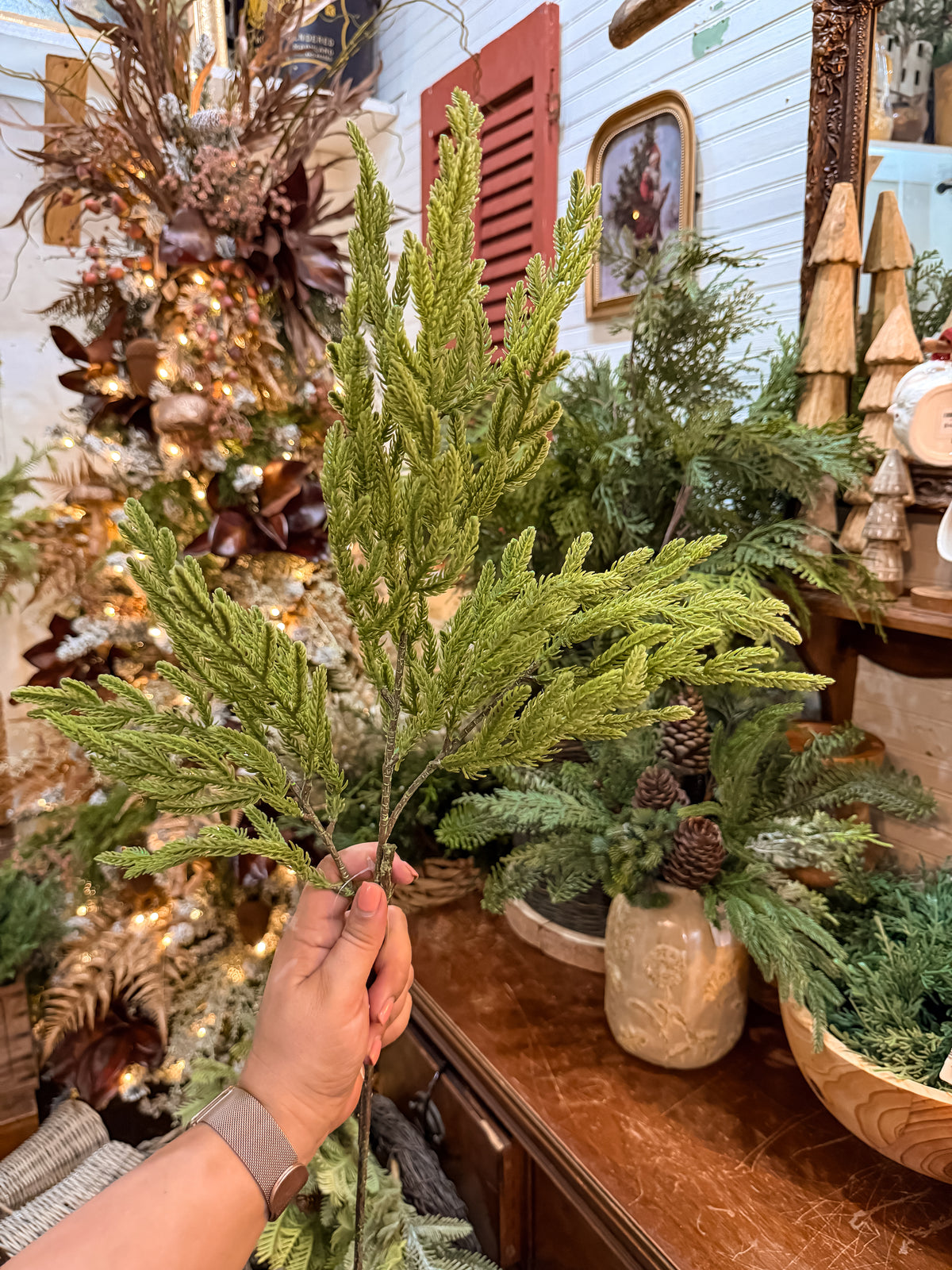 Light Green Norfolk Pine Branch