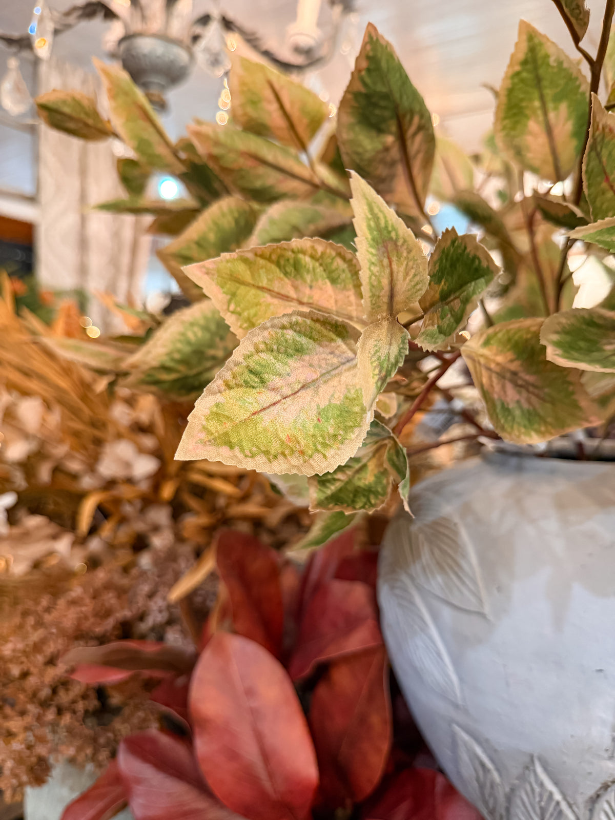 30” Coleus Stem | Meadow Green