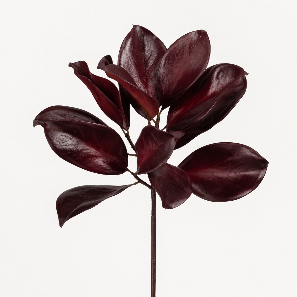 Merlot -16" Magnolia Leaf Spray