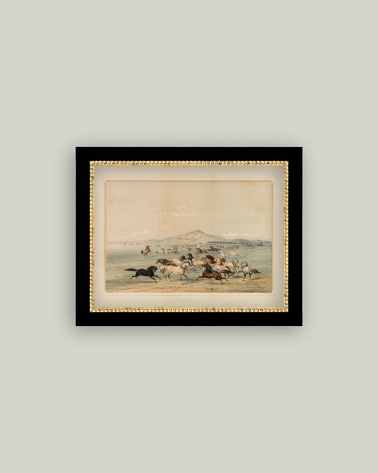 Field Of Horses Framed Antique Art: 9x7
