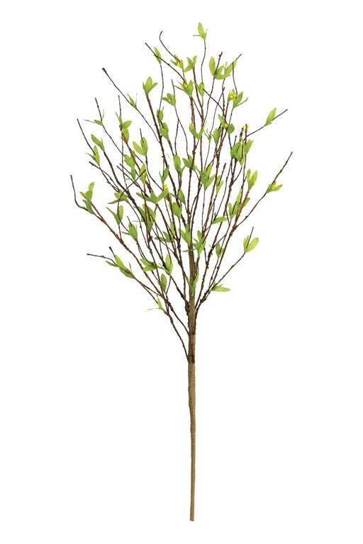 Budding Lemon Branch