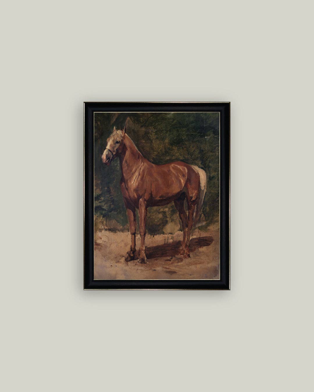 Chesnut Horse Framed Print
