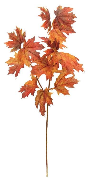 Harvest Ember Maple