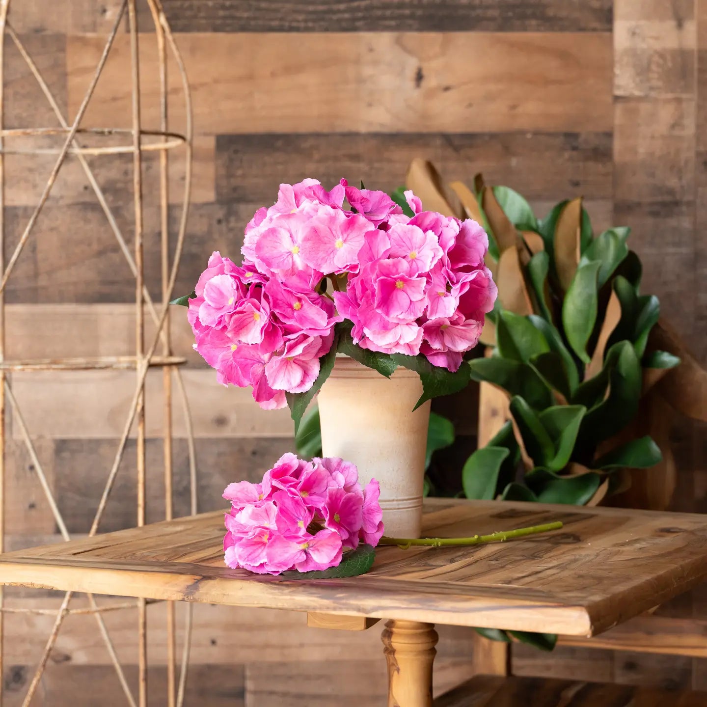 Juliette Fresh Touch Hydrangea Bloom