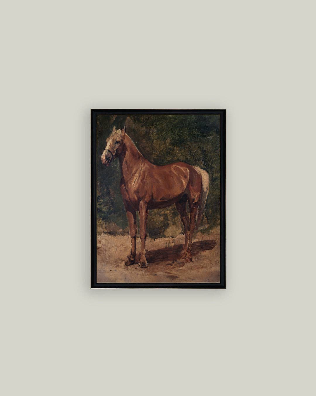 Chesnut Horse Framed Print