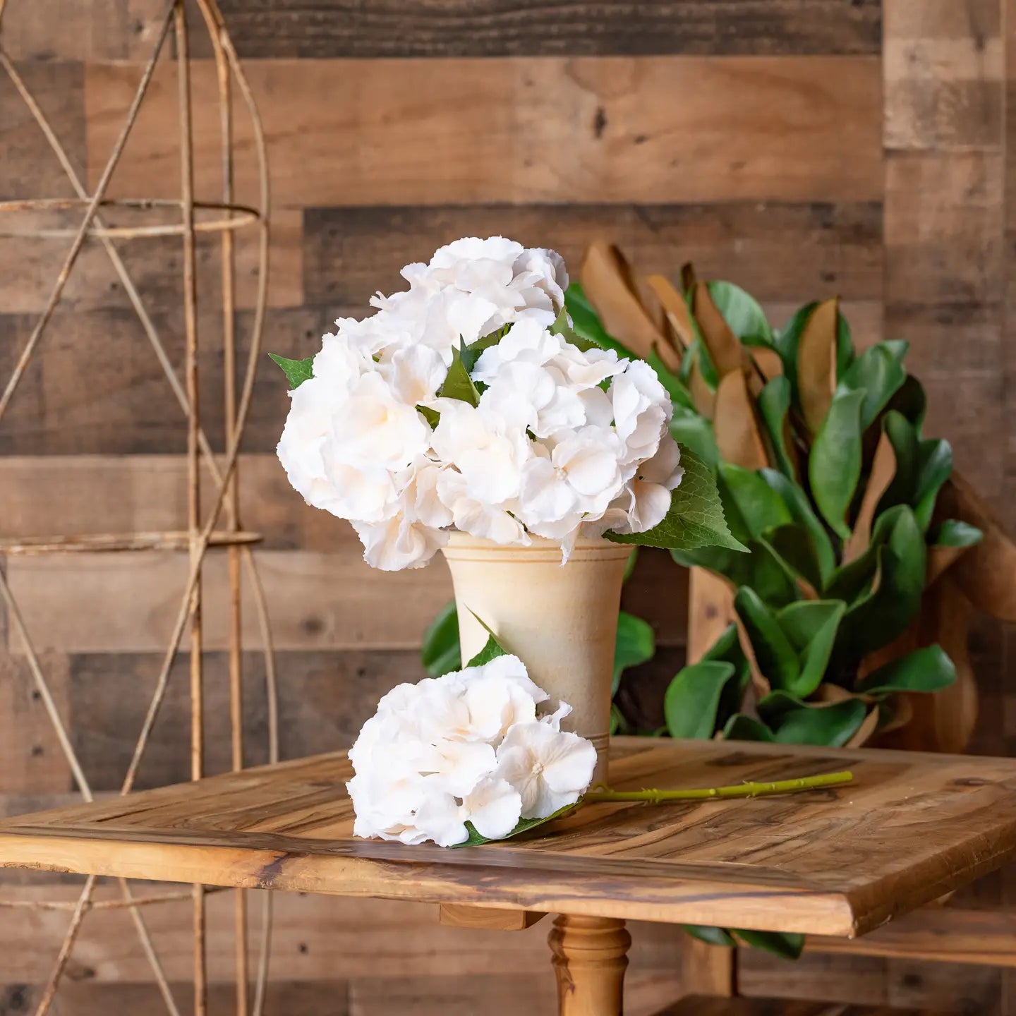 Juliette Fresh Touch Hydrangea Bloom