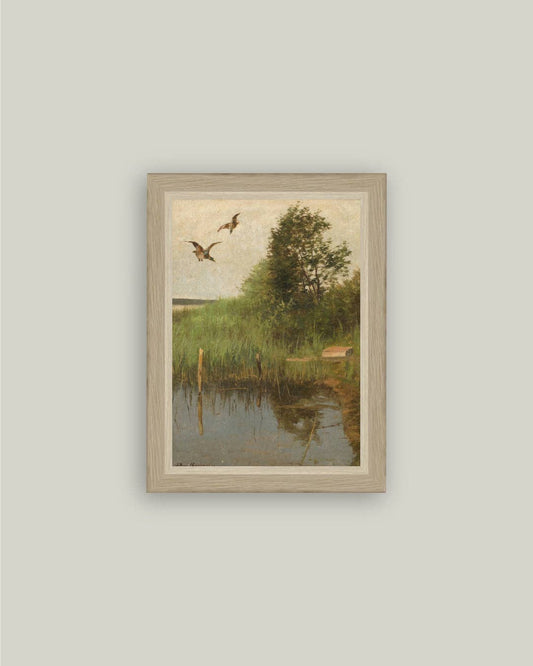 Mallards Taking Flight Framed Antique Art: 4x6