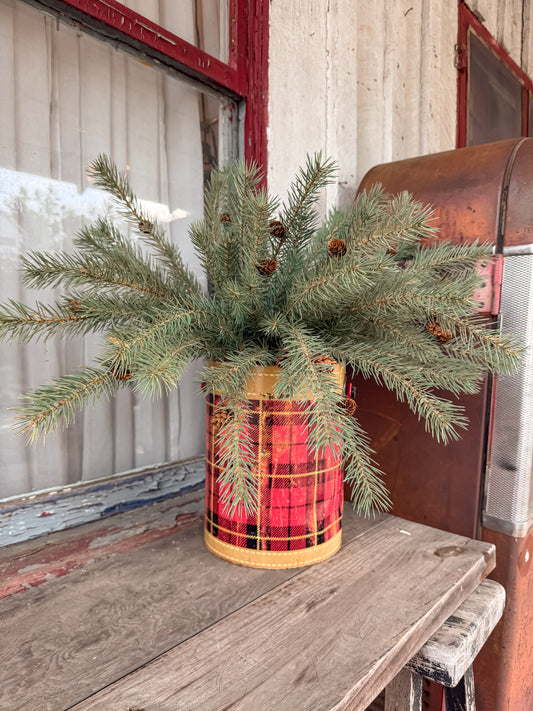 25” Woodfield Pine Bush with Mini Pinecones