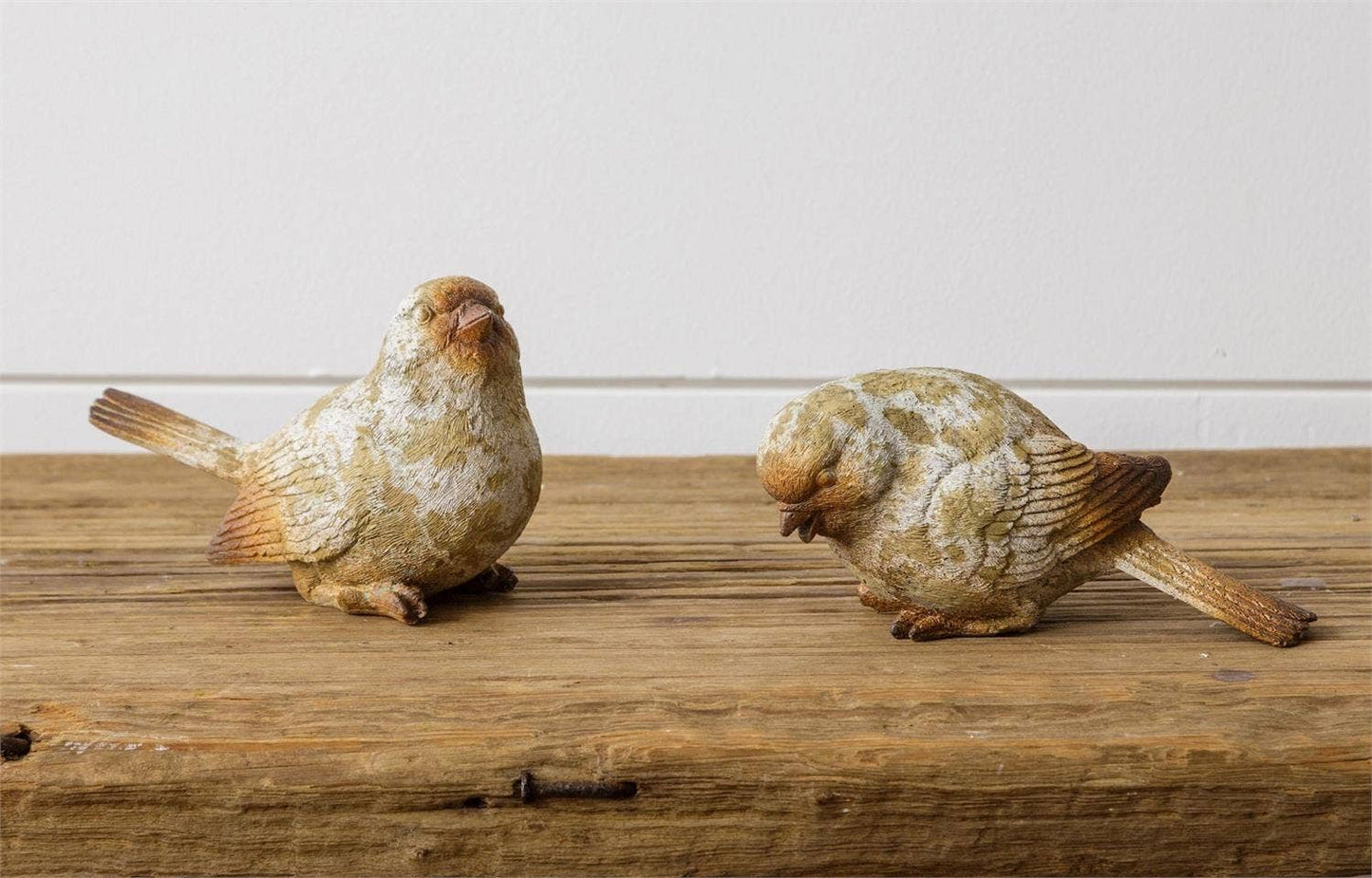 Weathered Resin Bird (Assorted)