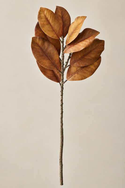 32” Dark Golden Magnolia Branch