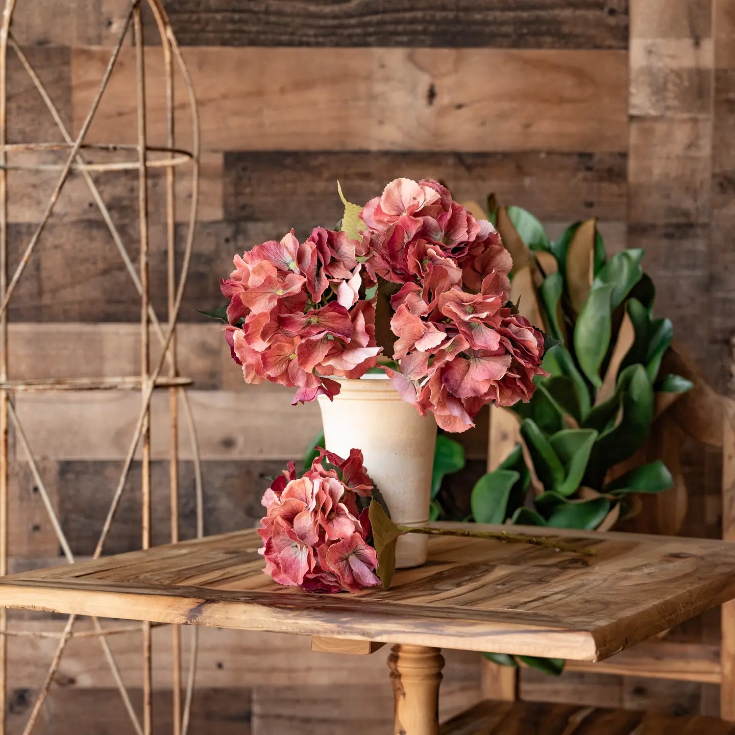 Juliette Fresh Touch Hydrangea Bloom