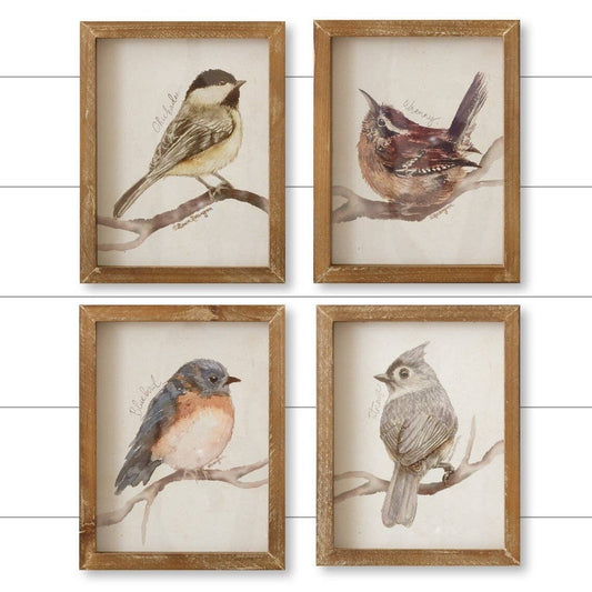 Framed Bird Prints