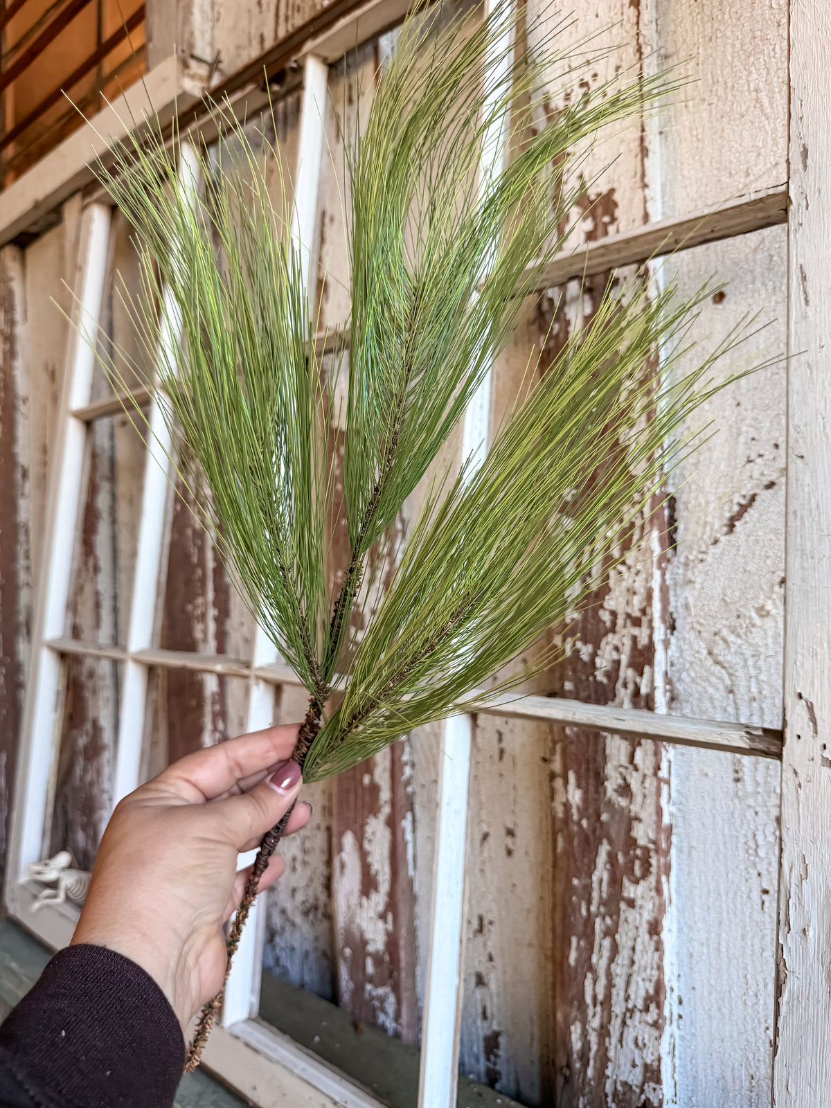 22" Pine Spray
