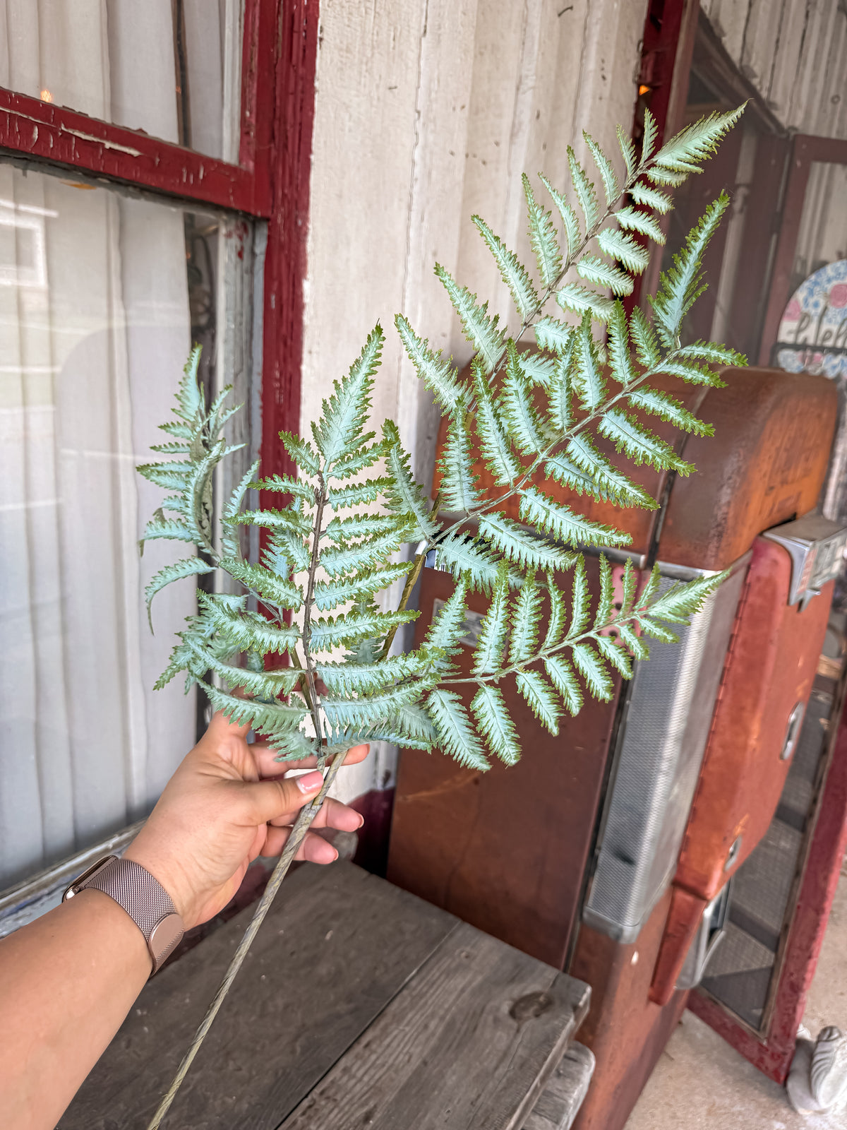 36" Real Touch Ostrich Fern Stem