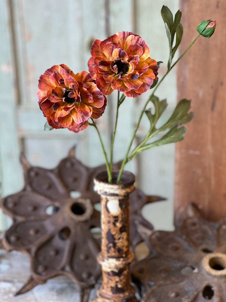 Chloe Fall Bloom