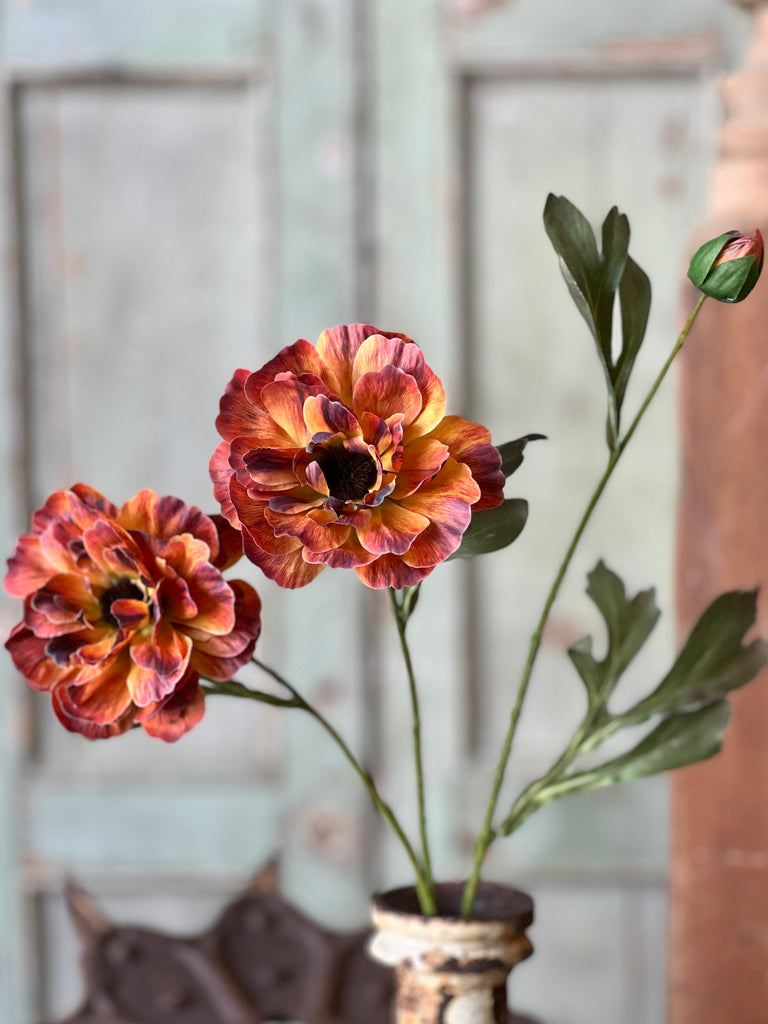 Chloe Fall Bloom