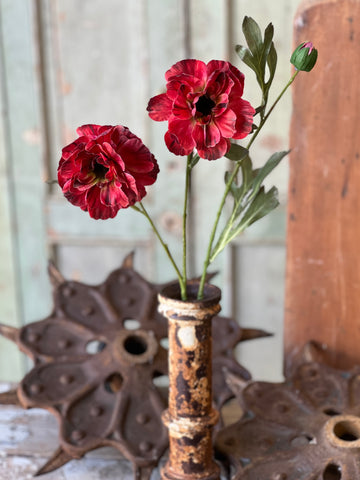 Chloe Fall Bloom