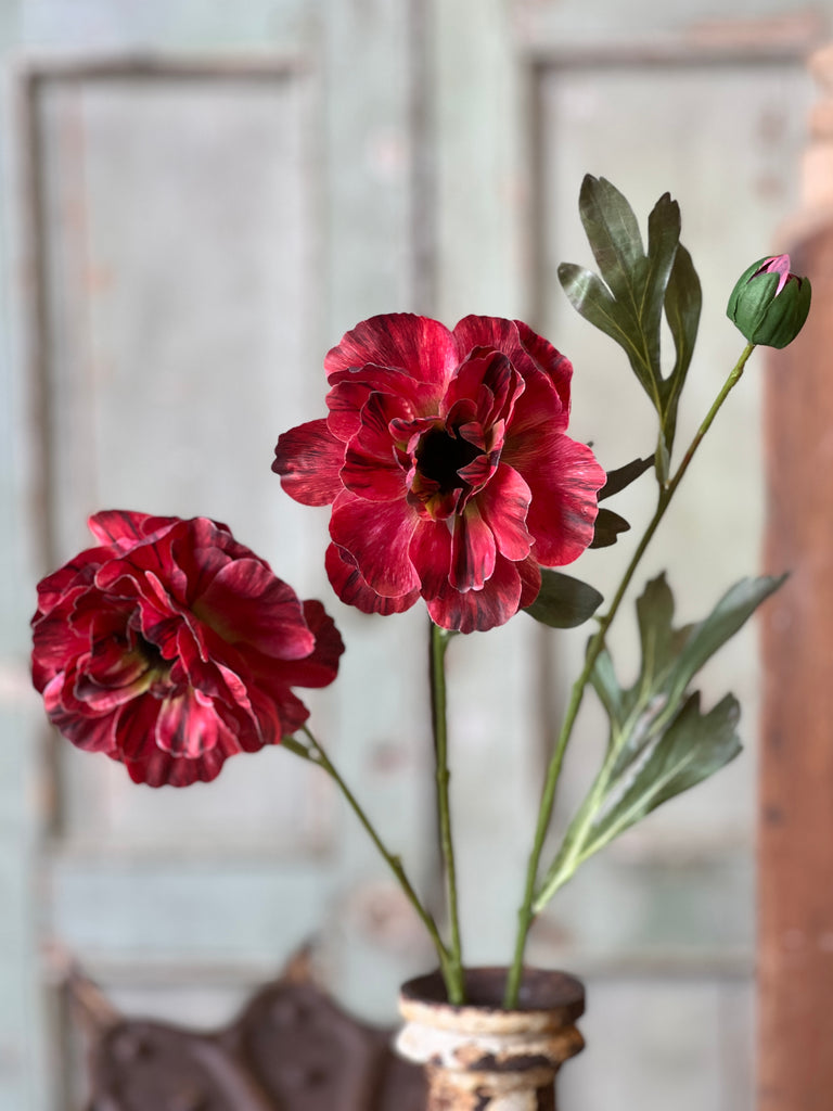 Chloe Fall Bloom