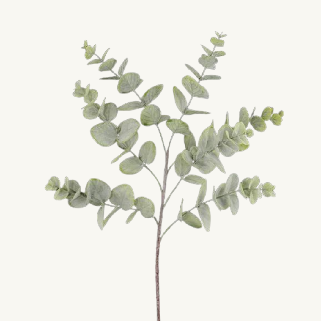 Melody Eucalyptus Spray