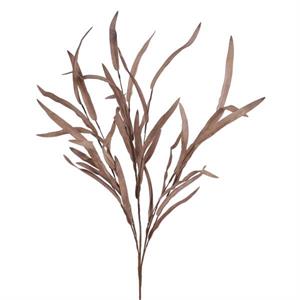 31" Light Brown Willow Grass Stem