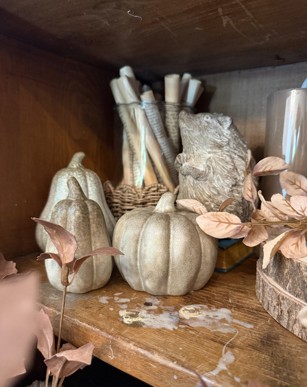 Heirloom Weathered Green Pumpkin & Gourd Collection