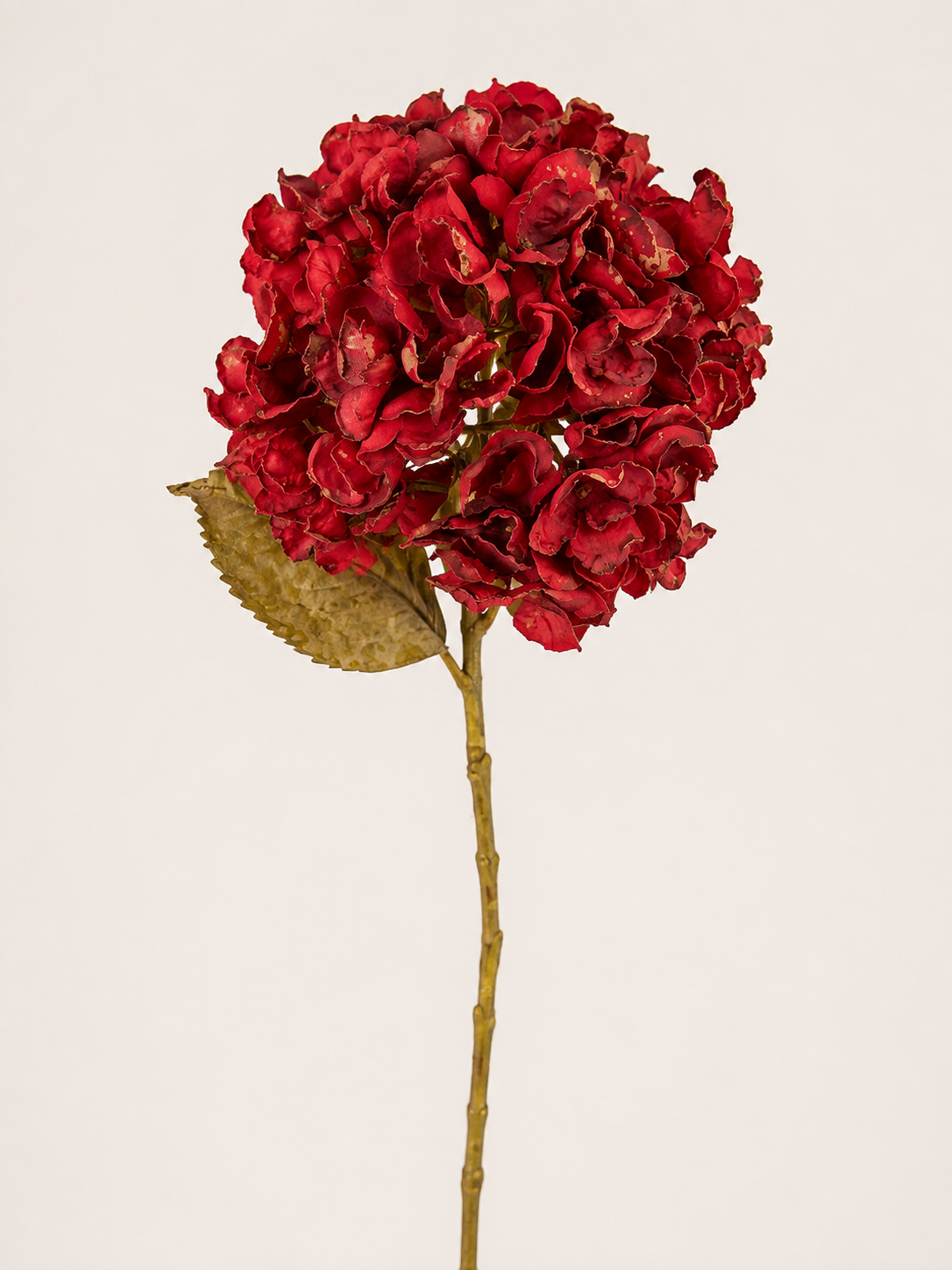 25" Mulled Wine Hydrangea Stem