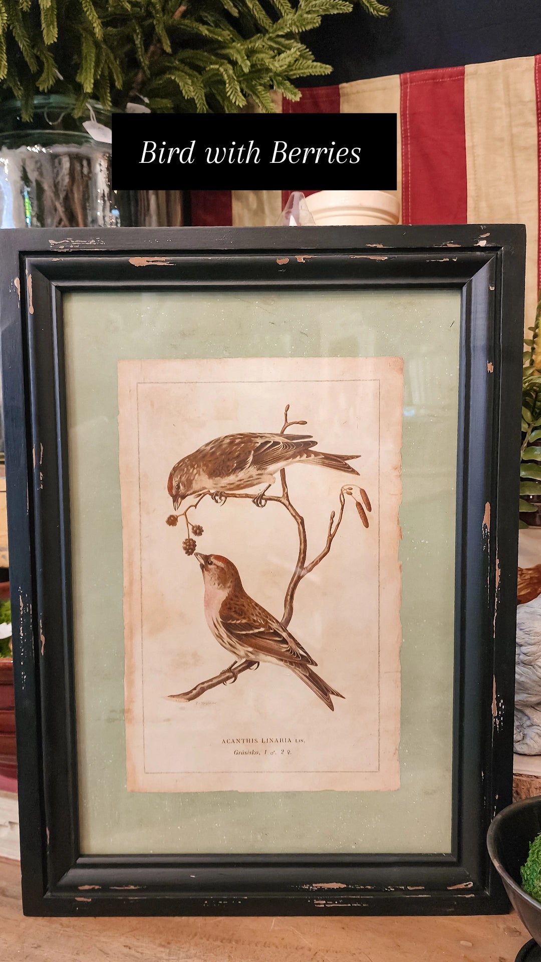 Black Framed Bird Print