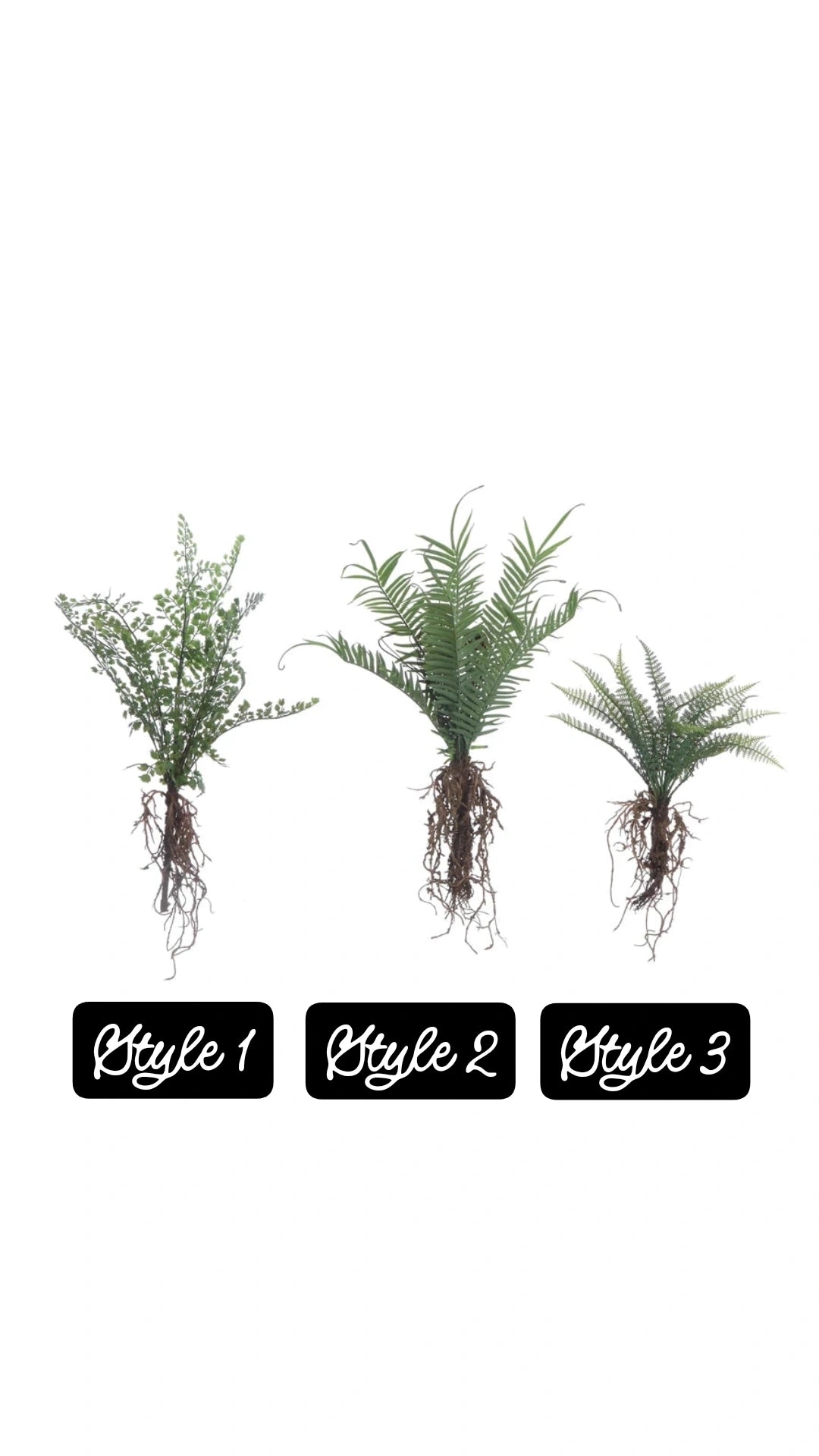 Faux Fern with Exposed Roots