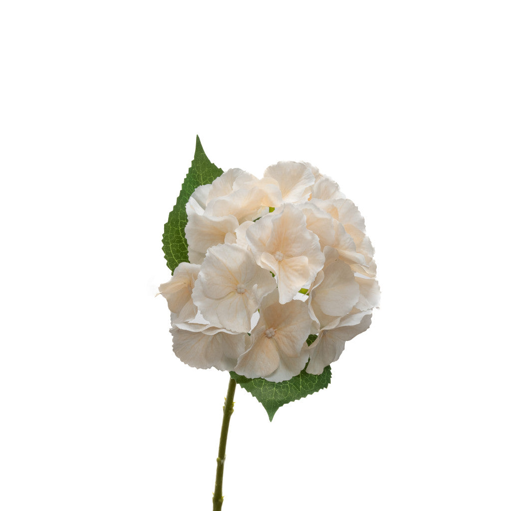 Juliette Fresh Touch Hydrangea Bloom