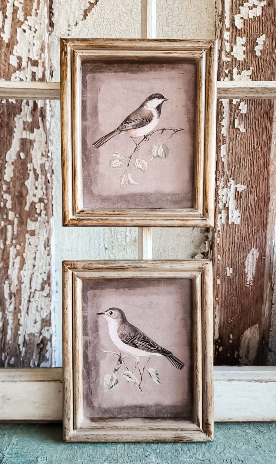 Framed 5x7 Bird Print
