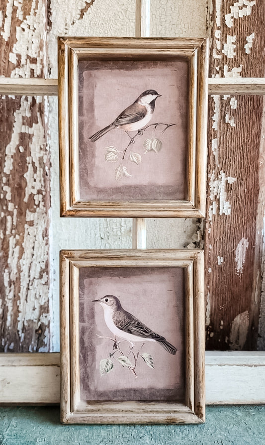Framed 5x7 Bird Print