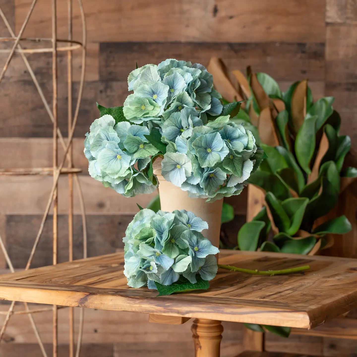 Juliette Fresh Touch Hydrangea Bloom