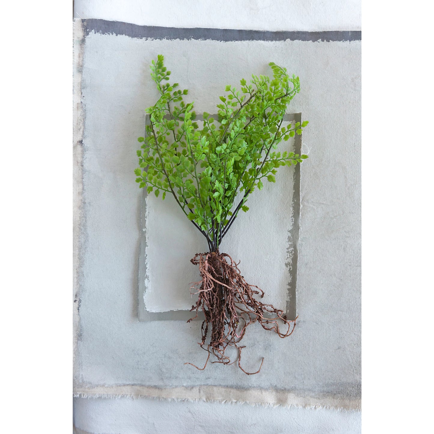 Faux Fern with Exposed Roots