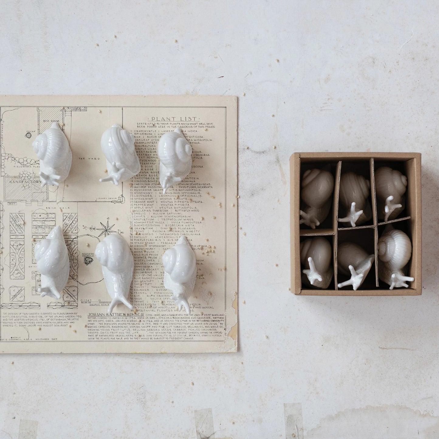 Stoneware White Snails