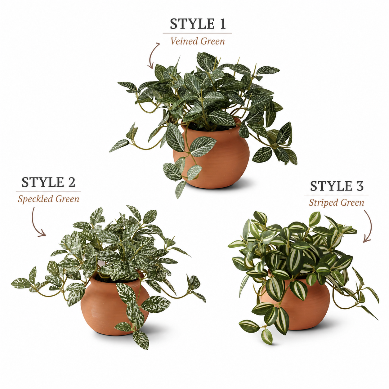 Little Potted Houseplants 3 Styles